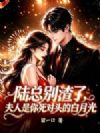 陆总别渣了,夫人是你死对头的白月光