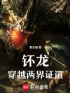 钚龙:穿越两界证道